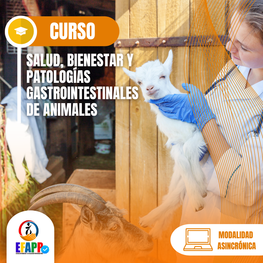 CURSO:SALUD, BIENESTAR Y PATOLOGÍAS GASTROINTESTINALES DE ANIMALES