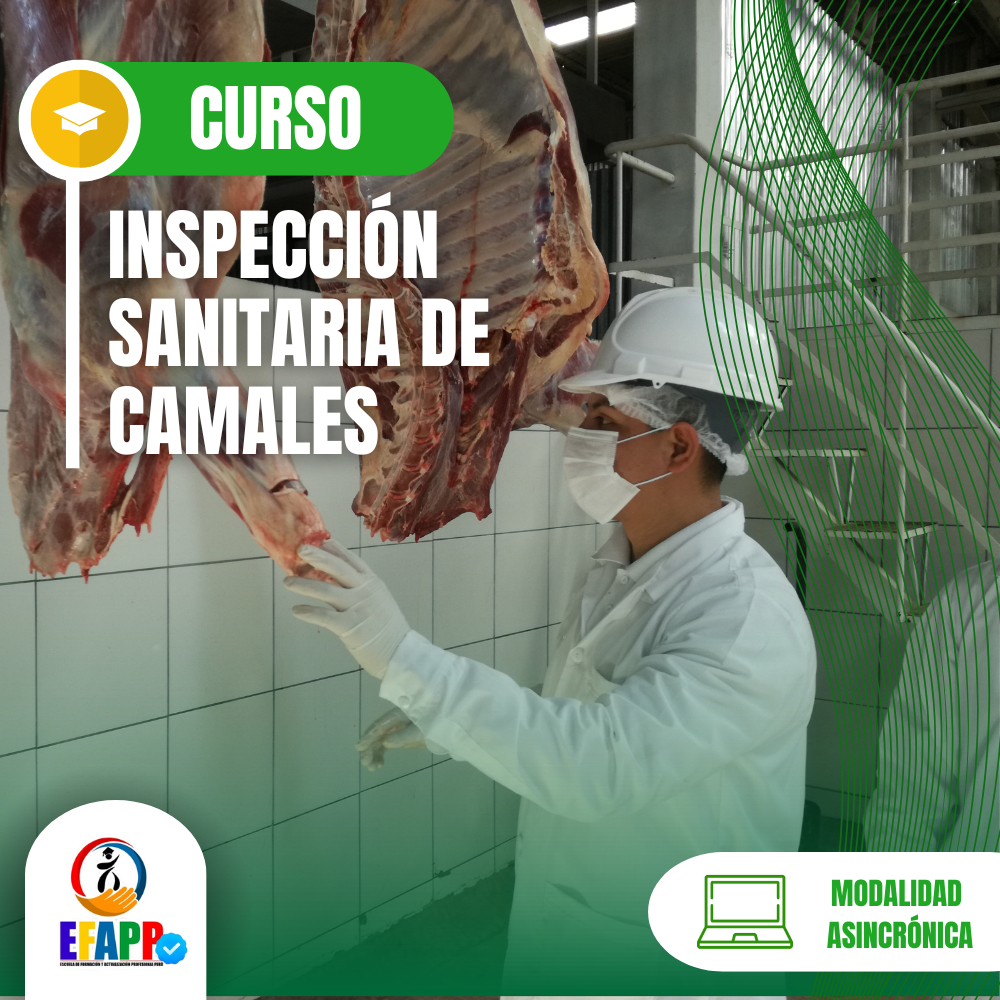 CURSO: INSPECCIÓN SANITARIA DE CAMALES