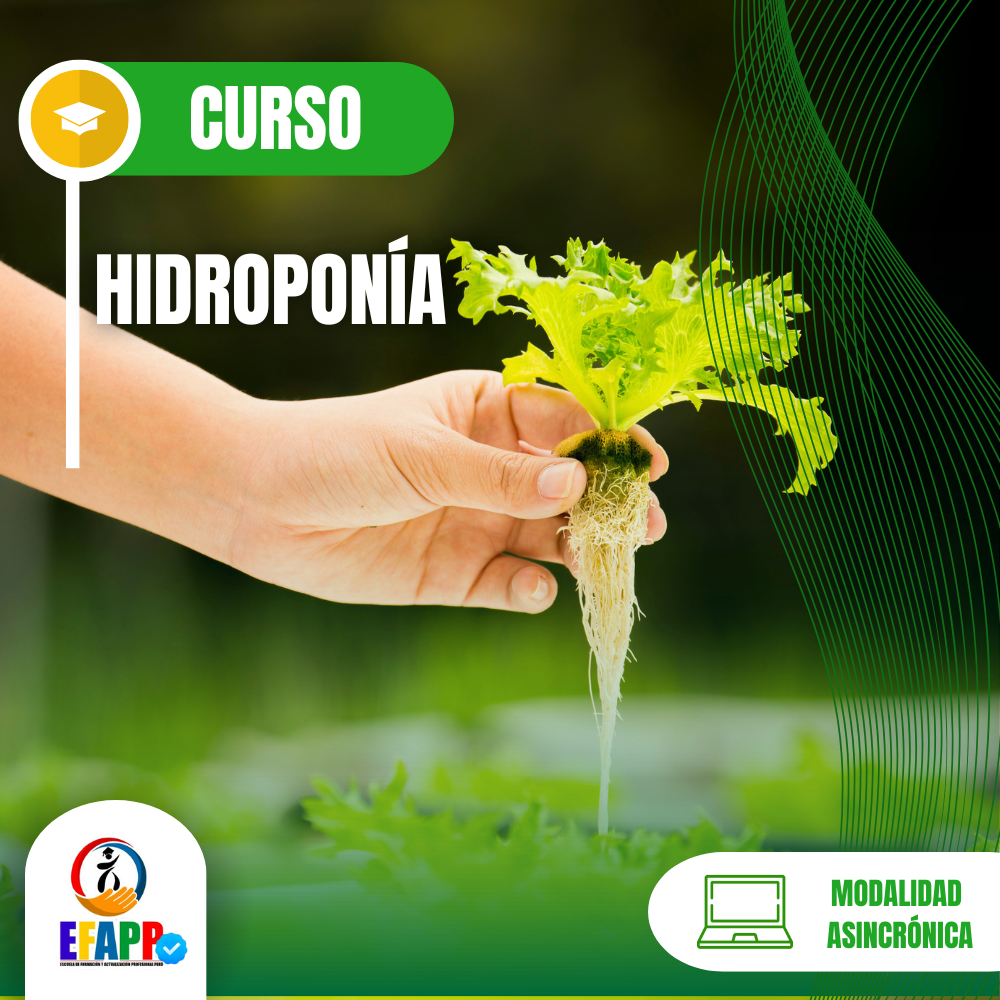 CURSO: HIDROPONÍA