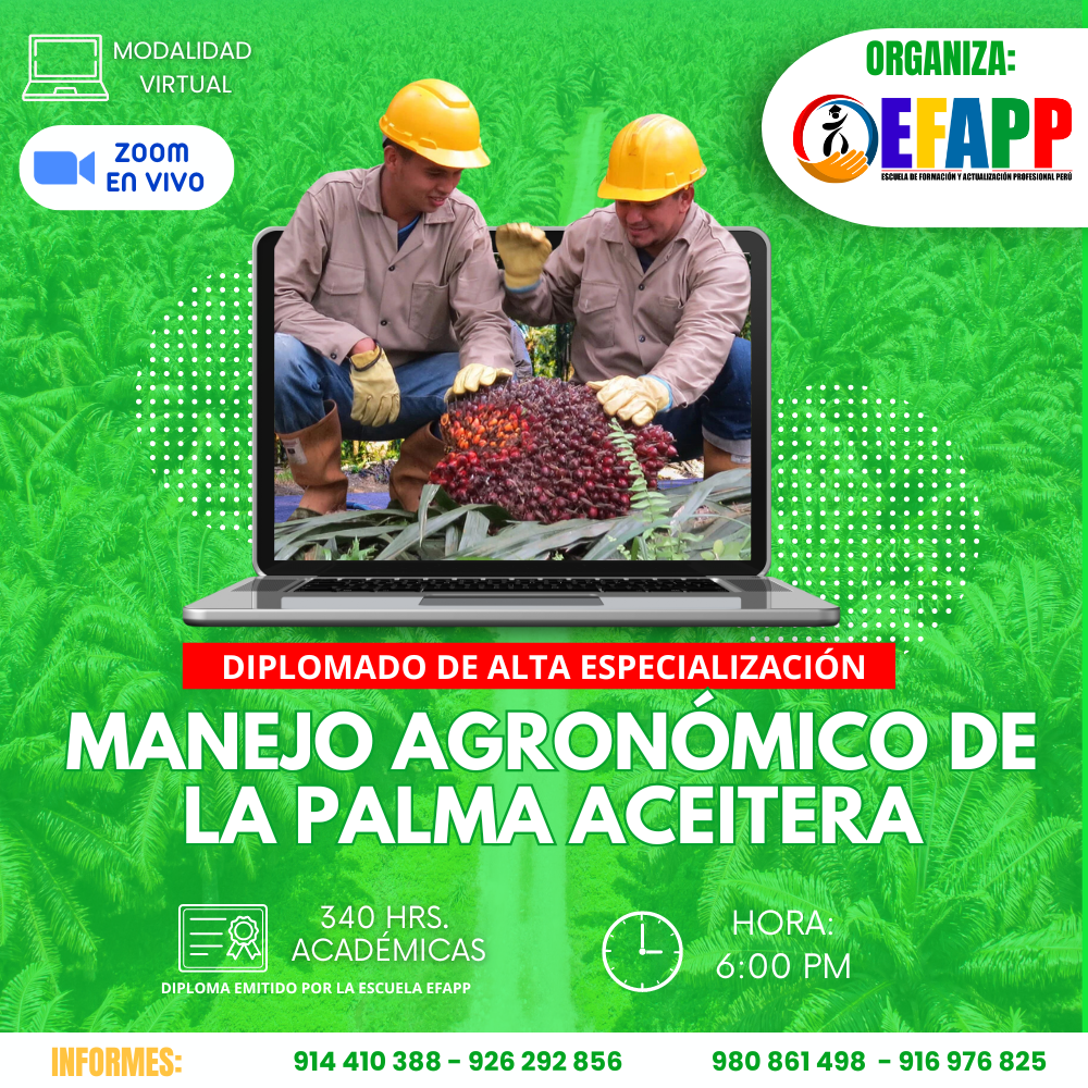 DIPLOMADO: MANEJO AGRONÓMICO DE LA PALMA ACEITERA